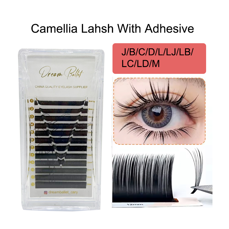 Dream Ballet Camellia Lashes m – Eyelash Extension Russian Bewertung und Preis