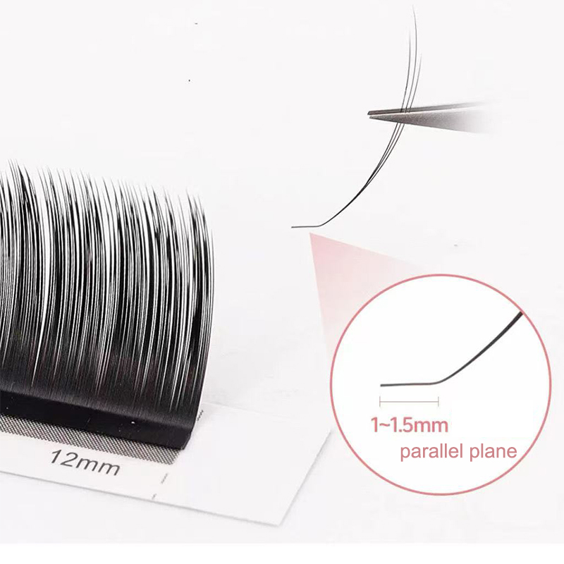 Dream Ballet Camellia Lashes m – Eyelash Extension Russian Bewertung und Preis