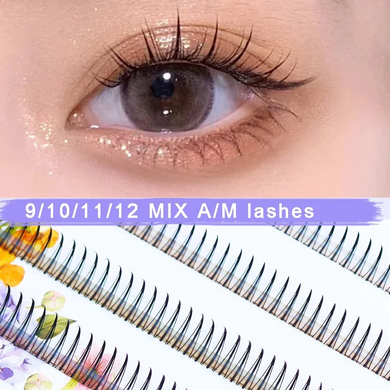 Dream Deer A/M Typ A Falsche W – Eyelash Extension Korea Bewertung und Preis